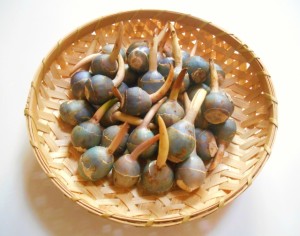 517cced325d1abd519e3265cc933fb97_s