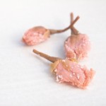 桜の花や葉の塩漬けの作り方！料理などに使うときの塩抜き方法は？