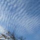 いわし雲とは？季節はいつ？ひつじ雲やうろこ雲とは違うの？